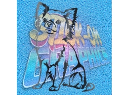 Chihuahua 006