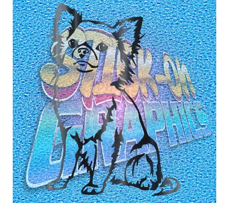 Chihuahua 006