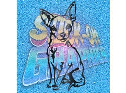 Chihuahua 007