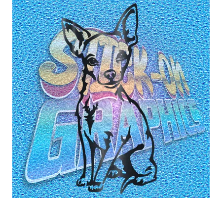 Chihuahua 007