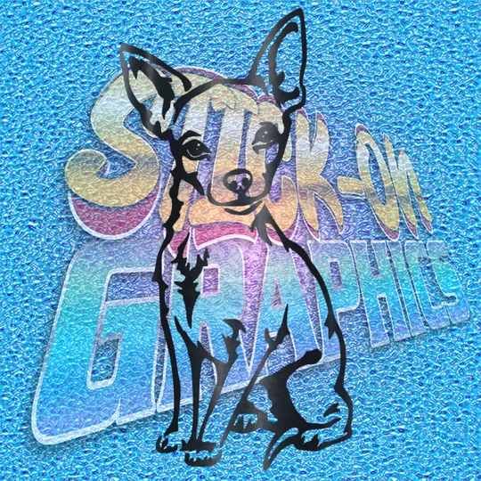 Chihuahua 007
