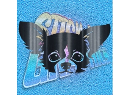 Chihuahua 008