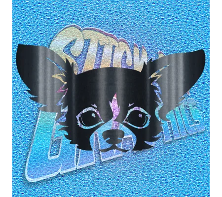 Chihuahua 008