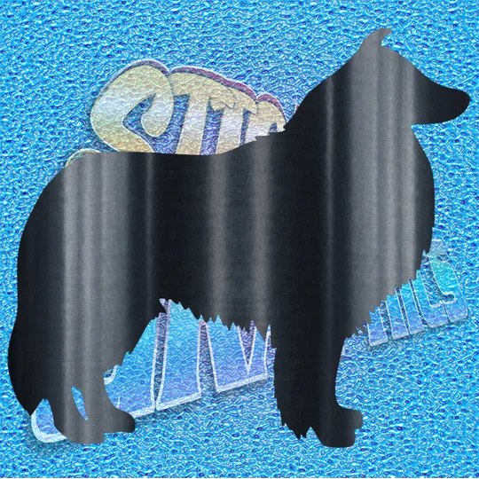Collie 001