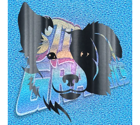 Collie 002