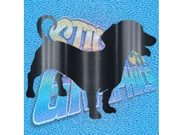 Dachshund 001