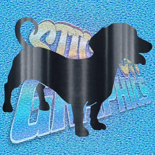 Dachshund 001