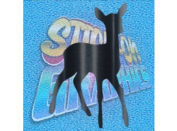 Deer 001