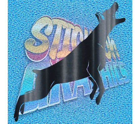 Doberman 013