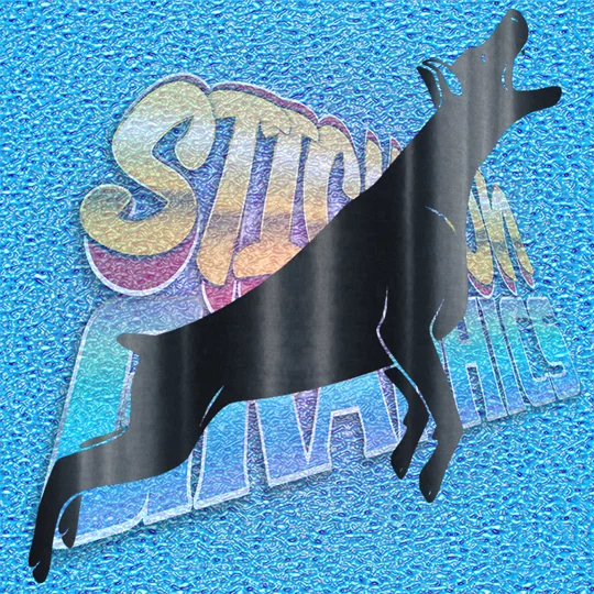 Doberman 013