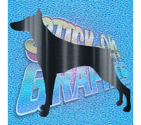 Doberman 001