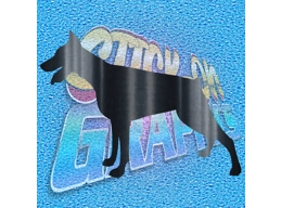 Doberman 002