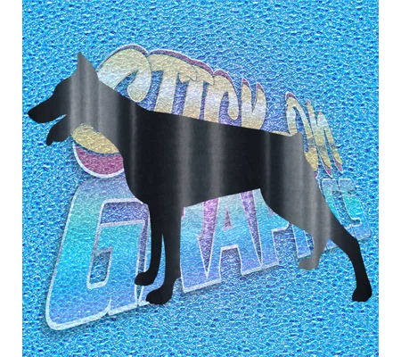 Doberman 002