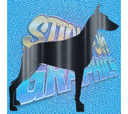 Doberman 005