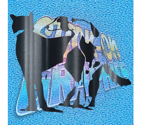Dogs