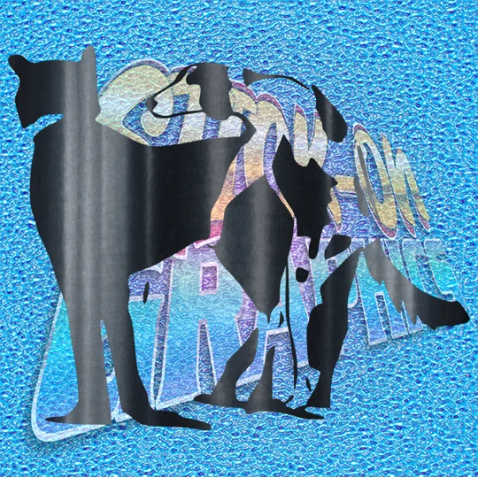Dogs