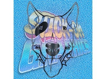 English Bull Terrier 010