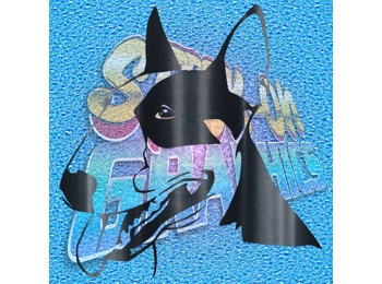 English Bull Terrier 018