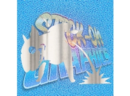 English Bull Terrier 019 X