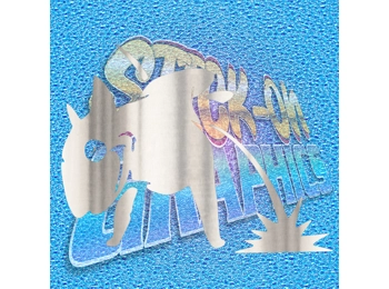 English Bull Terrier 019 X