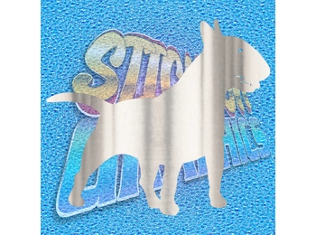 English Bull Terrier 022