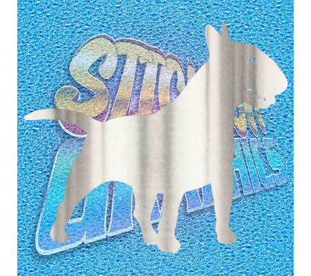 English Bull Terrier 022