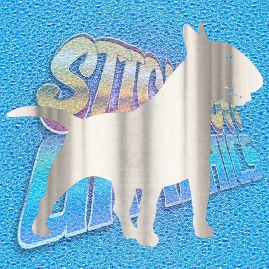 English Bull Terrier 022