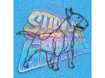 English Bull Terrier 023