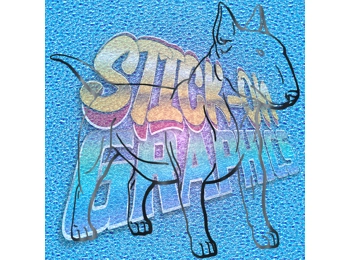 English Bull Terrier 024