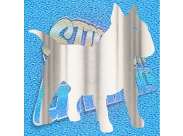 English Bull Terrier 025