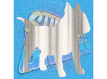 English Bull Terrier 025