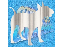 English Bull Terrier 006