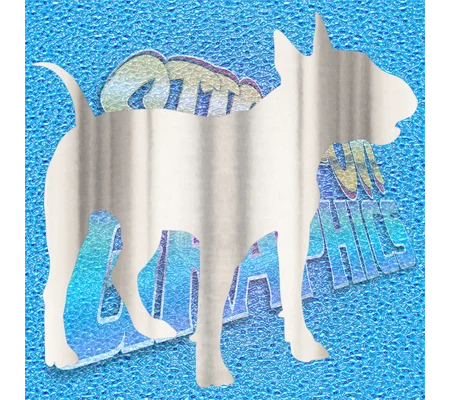 English Bull Terrier 006