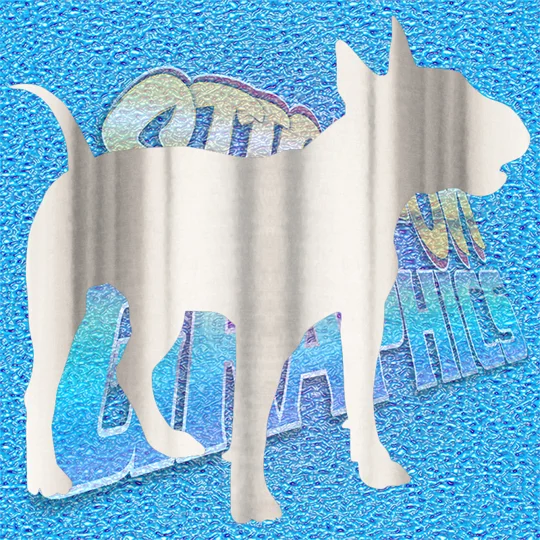 English Bull Terrier 006