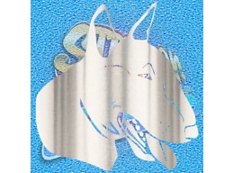 English Bull Terrier 007 Invert