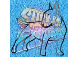 English Bull Terrier 008