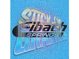Eibach Springs