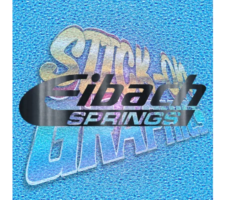 Eibach Springs