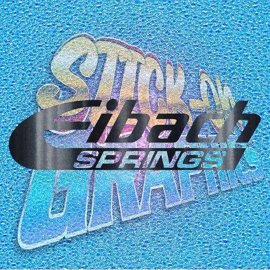 Eibach Springs