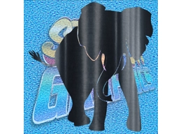 Elephant 001