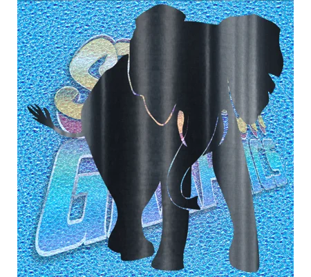 Elephant 001