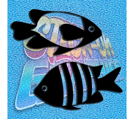 Fish 002