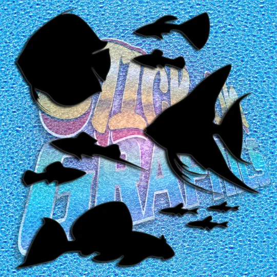 Fishes 002