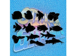 Fishes 003