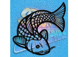 Fish Koi 001