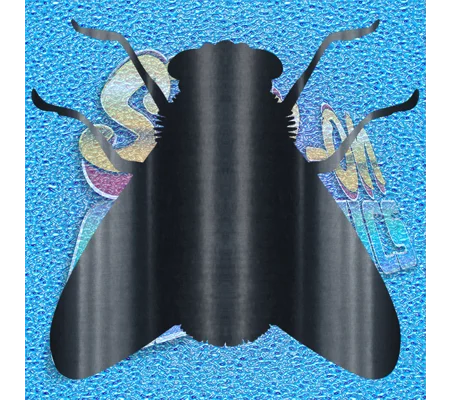 Fly 001