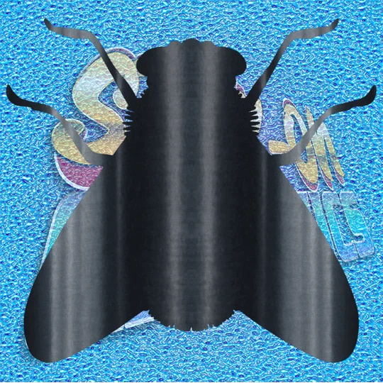 Fly 001