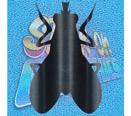 Fly 002