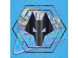 Wolverhampton Wonderers FC