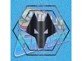 Wolverhampton Wonderers FC